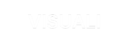 visuali logo